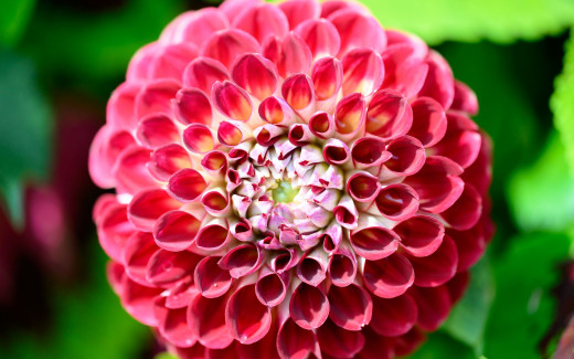 �1762822 �������(a): ����������:2560x1600